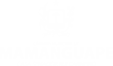 Imagem do portal no rodapé